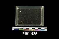 藏品(砂金)的圖片